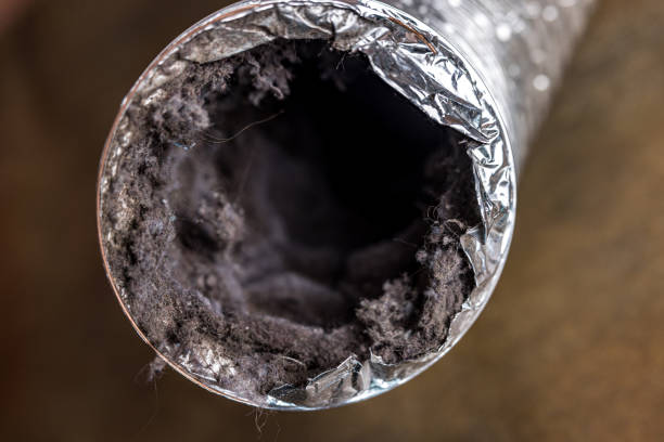 Best Affordable Duct Cleaning Services  in Neptune Beach, FL